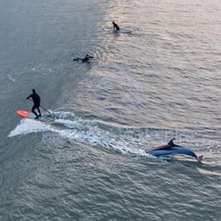 Apartmán Atlantic Coast Spanish Point