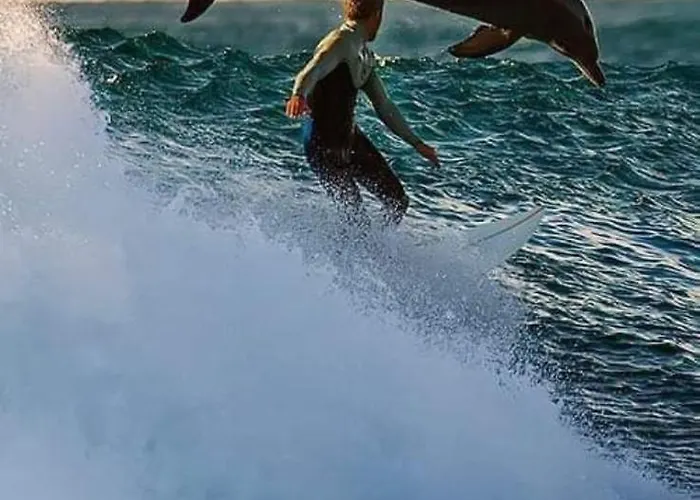 Atlantic Coast Spanish Point