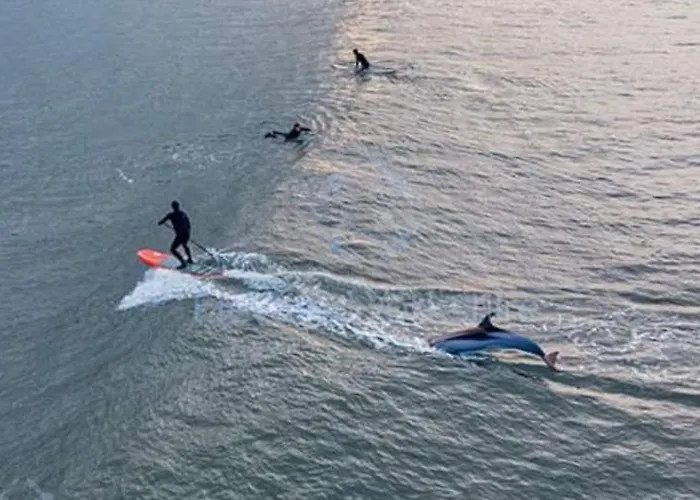 Apartment Atlantic Coast Spanish Point